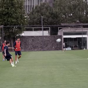 Foto Puma desde la cuna
