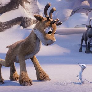 Foto Niko: La aventura de las narices frías