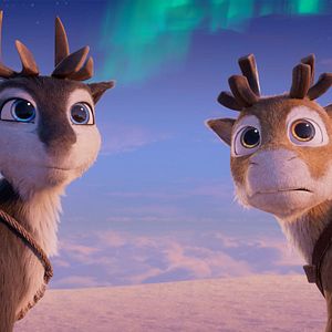 Foto Niko: La aventura de las narices frías