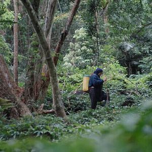 Foto The Woman Carrying the Prey