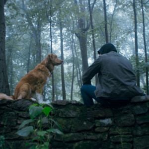 Foto Good Boy: Confía en su instinto