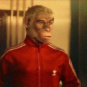 Foto Robbie Williams