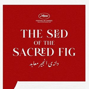 Foto La semilla del fruto sagrado