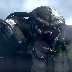 Foto Depredador: Cazador de asesinos