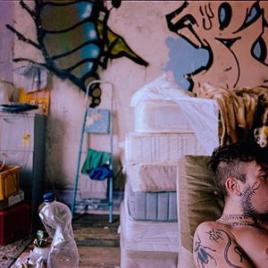 Foto BIRD: Emprender el vuelo