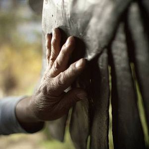 Foto Dream Touch Believe