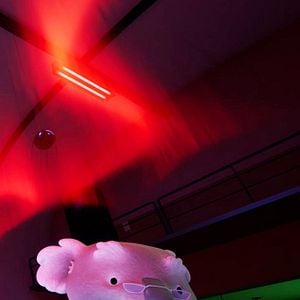 Foto Granpa & Zoe: Mission Light