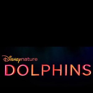 Foto Arrecife de delfines