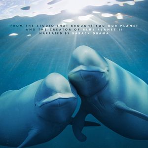 Foto Nuestros océanos