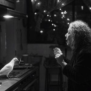 Foto No nos moverán