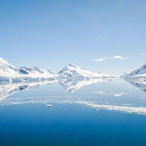 Foto Dinosaurios de la Antártida