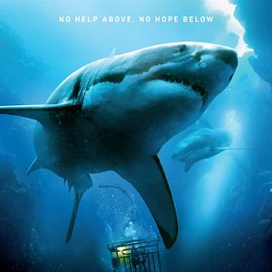 Foto Terror a 47 metros