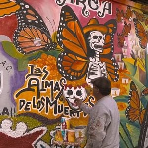 Foto Butterfly Journey