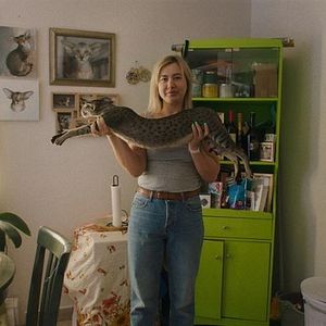 Foto American Cats: The Good, The Bad & The Cuddly