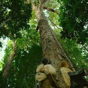 Foto Amazon Adventure