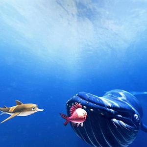 Foto El Arrecife Encantado: Kaluoka'hina