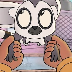 Foto Bem, un lémur en fuga