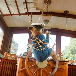 Foto Paddington Aventura En La Selva