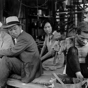 Foto El perro rabioso