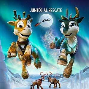 Foto Niko: La aventura de las narices frías