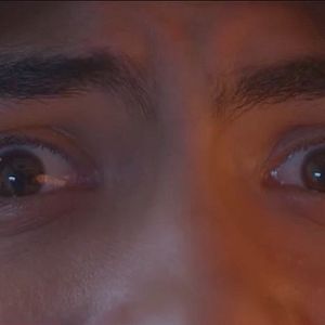 Foto Langostas a domicilio