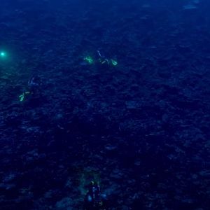 Foto Deep Hope, le dernier refuge