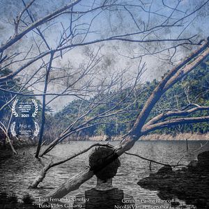 Foto Ríos de Ceniza