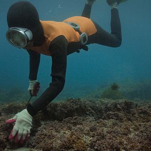 Foto Las últimas mujeres del mar