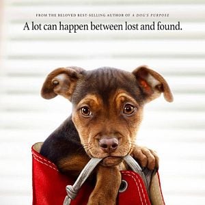 Foto Mis huellas a casa