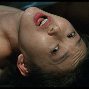 Foto An Aria on Gazes