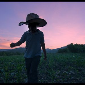 Foto El tiempo de las luciérnagas