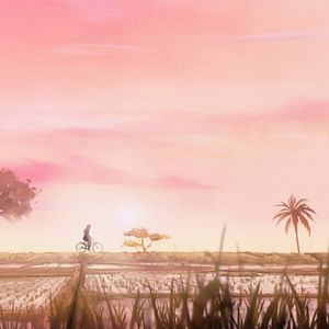 Foto Mariposas negras