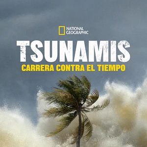 Foto Tsunamis: Carrera contra el tiempo