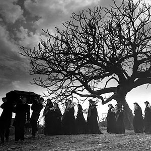 Foto Abismos de pasion