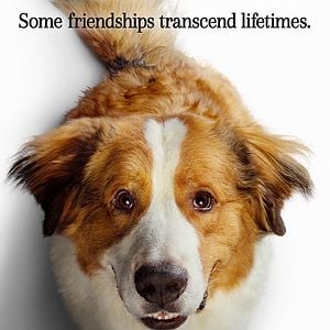 Foto La razón de estar contigo: Un nuevo viaje