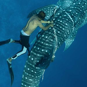 Foto Nuestros océanos