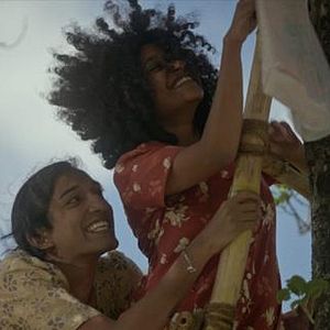 Foto Turtle’s Gaze on Spying Stars