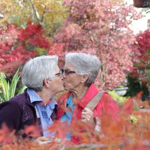 Foto Surviving the Silence