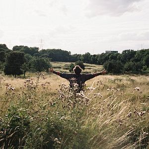 Foto BIRD: Emprender el vuelo