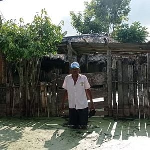 Foto Positivo Negativo