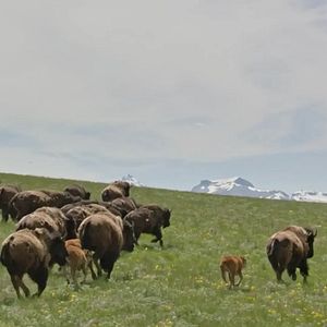 Foto De Regreso a Casa