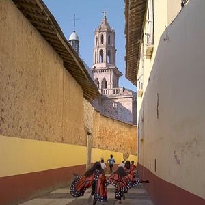 Foto Butterfly Journey