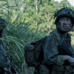 Foto El Simpatizante