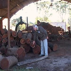 Foto Regreso a Fortín Olmos