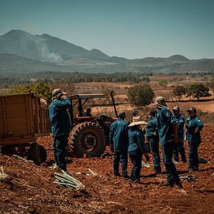 Foto Las hijas del maguey