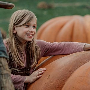Foto El Maravilloso Mago De Oz