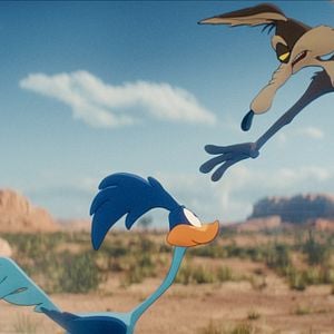 Foto Coyote vs. ACME