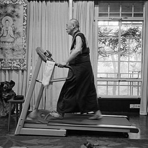 Foto Sabiduría y felicidad