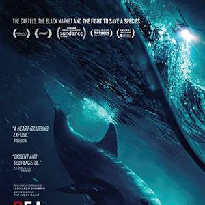 Foto SOS: Mar de Sombras