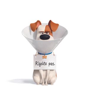 Foto La vida secreta de tus mascotas 2